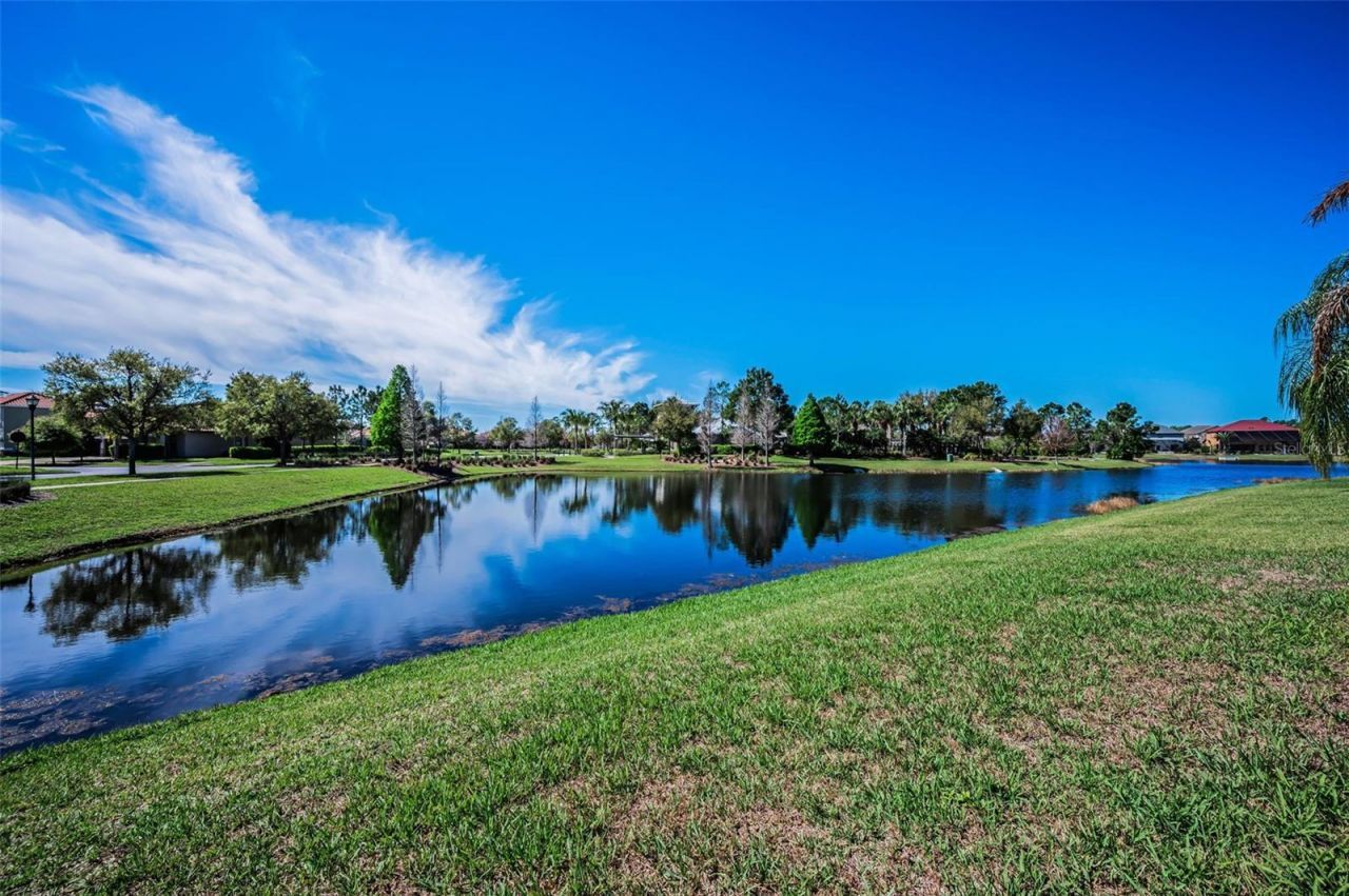 11891 Frost Aster Drive, Riverview, FL 33579 Photo