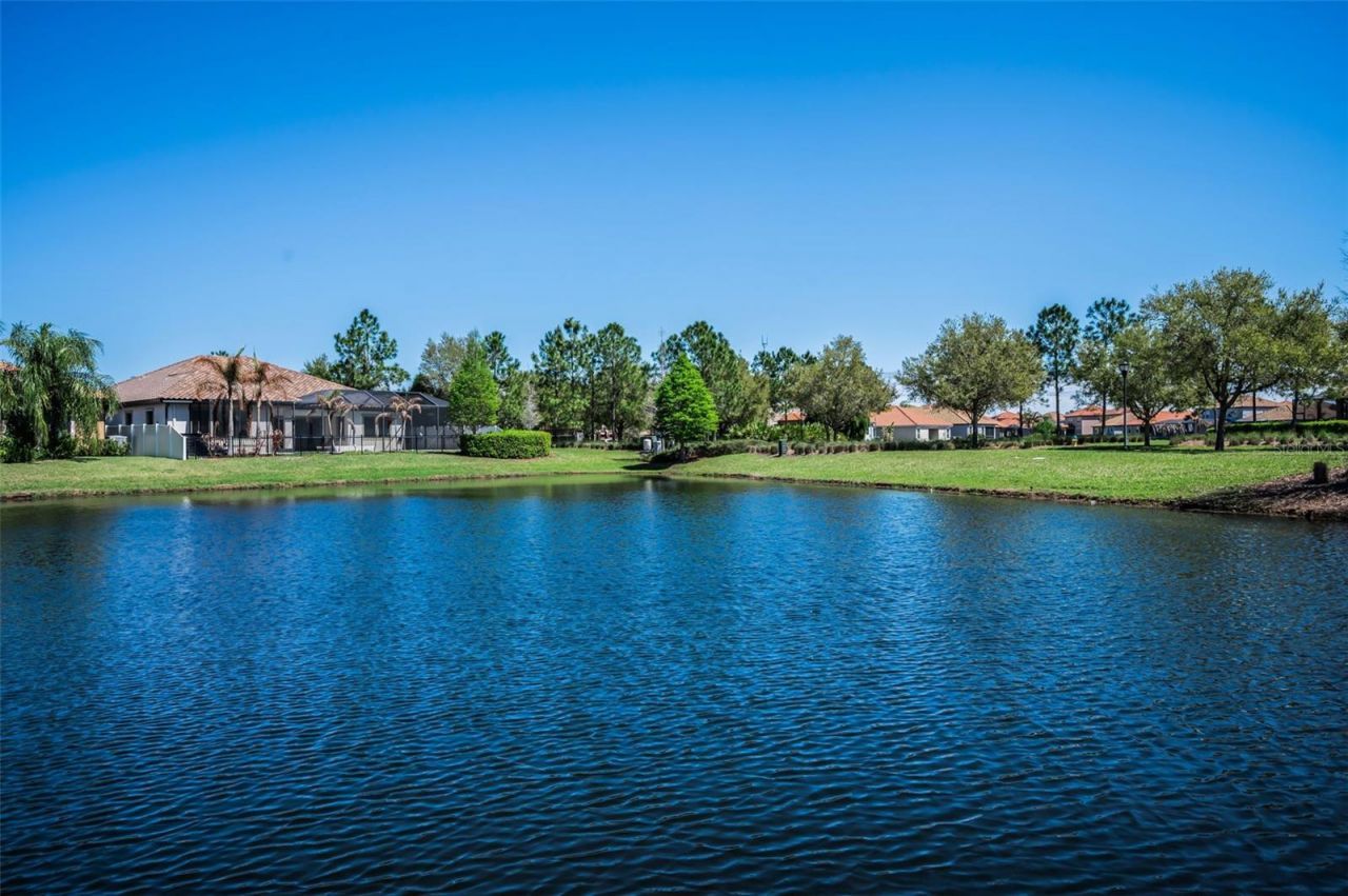 11891 Frost Aster Drive, Riverview, FL 33579 Photo