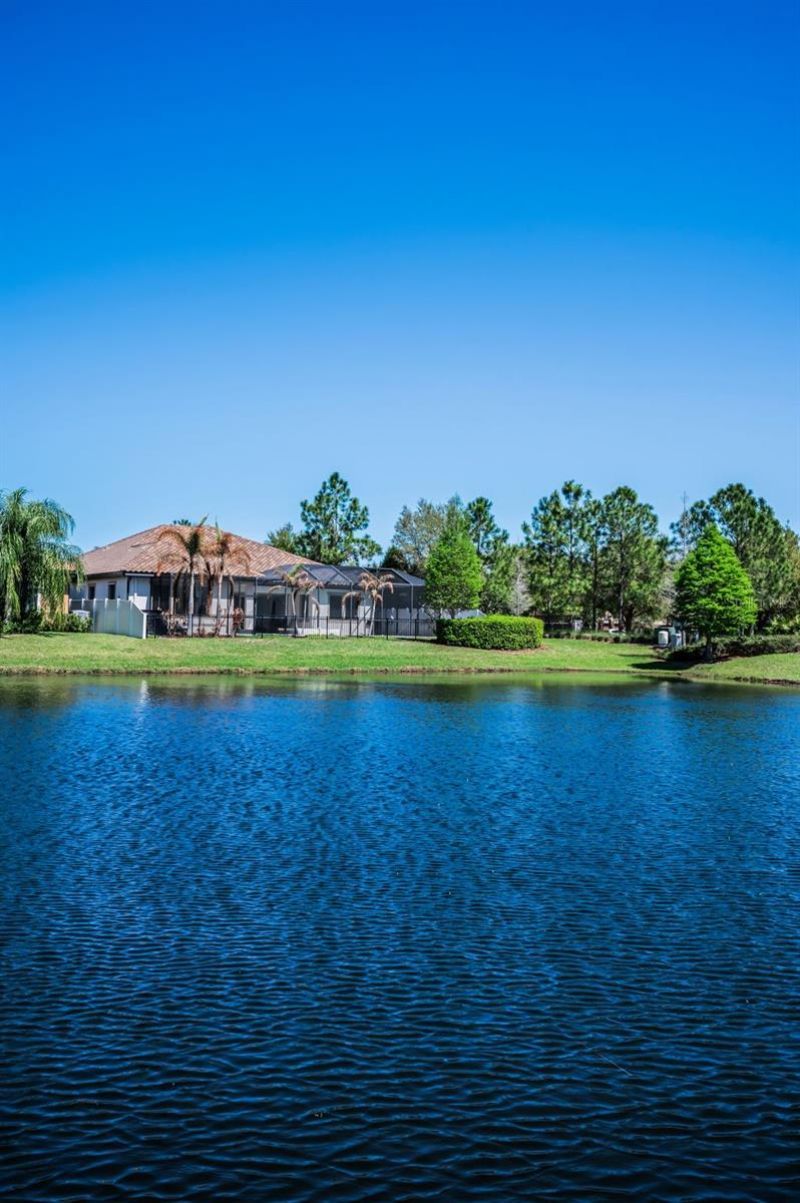 11891 Frost Aster Drive, Riverview, FL 33579 Photo