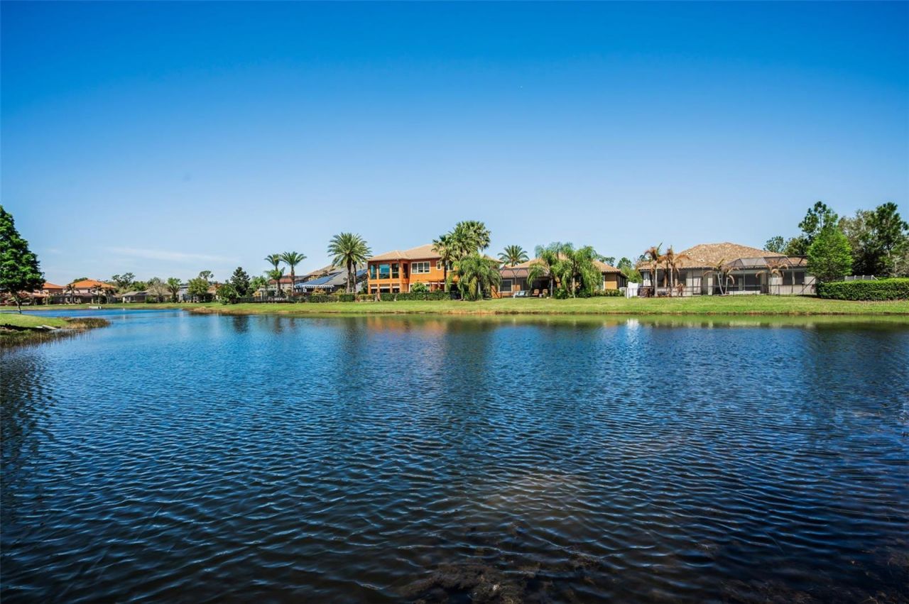 11891 Frost Aster Drive, Riverview, FL 33579 Photo