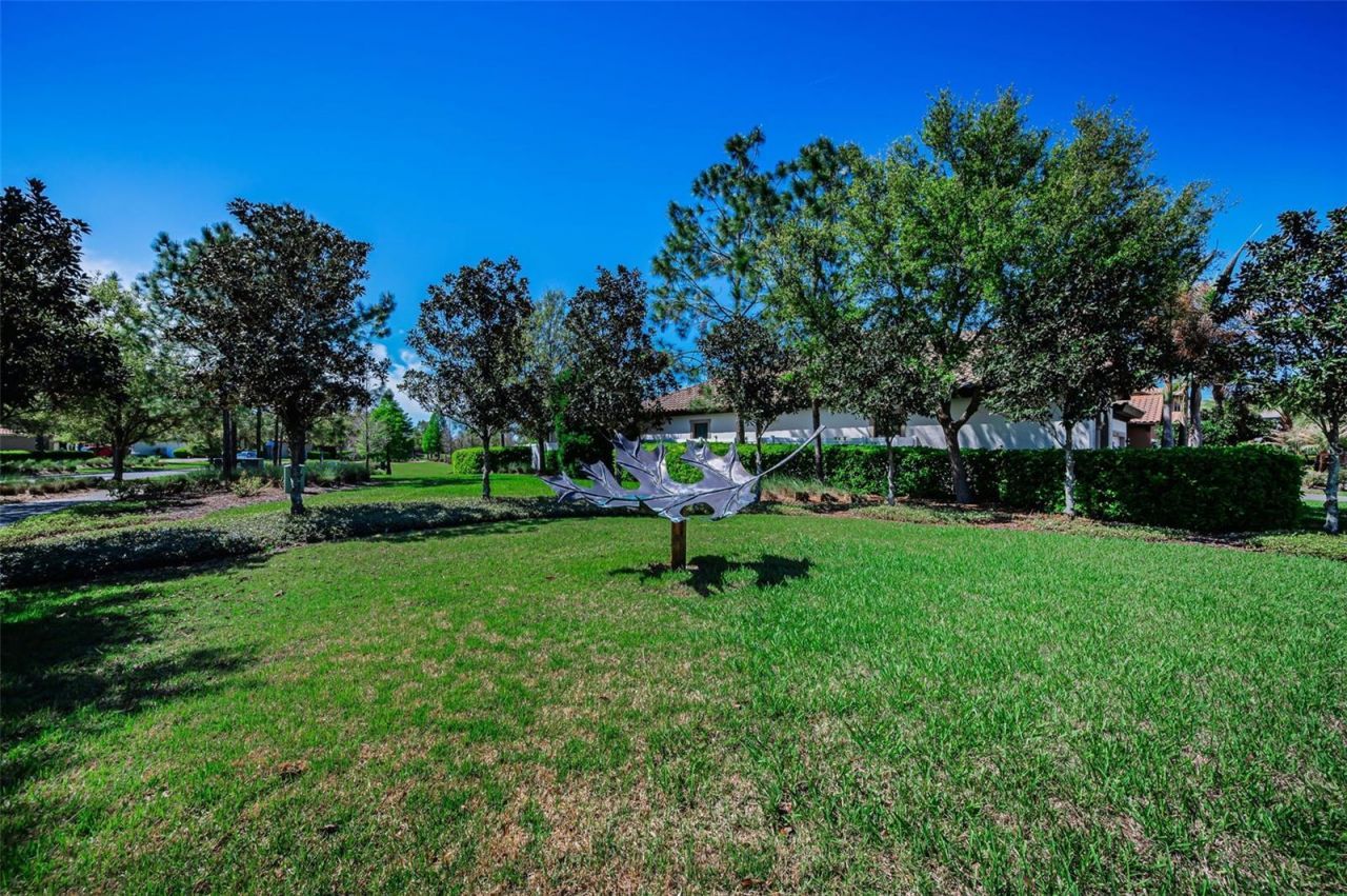 11891 Frost Aster Drive, Riverview, FL 33579 Photo