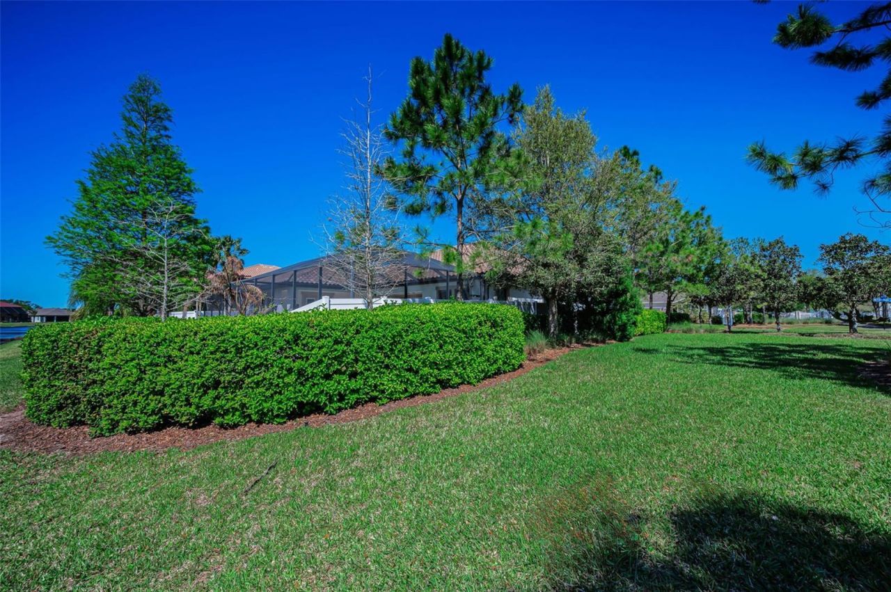 11891 Frost Aster Drive, Riverview, FL 33579 Photo