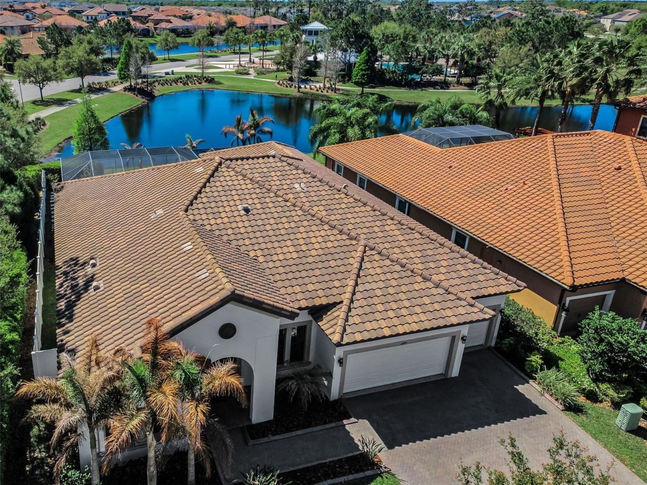 11891 Frost Aster Drive, Riverview, FL 33579 Photo