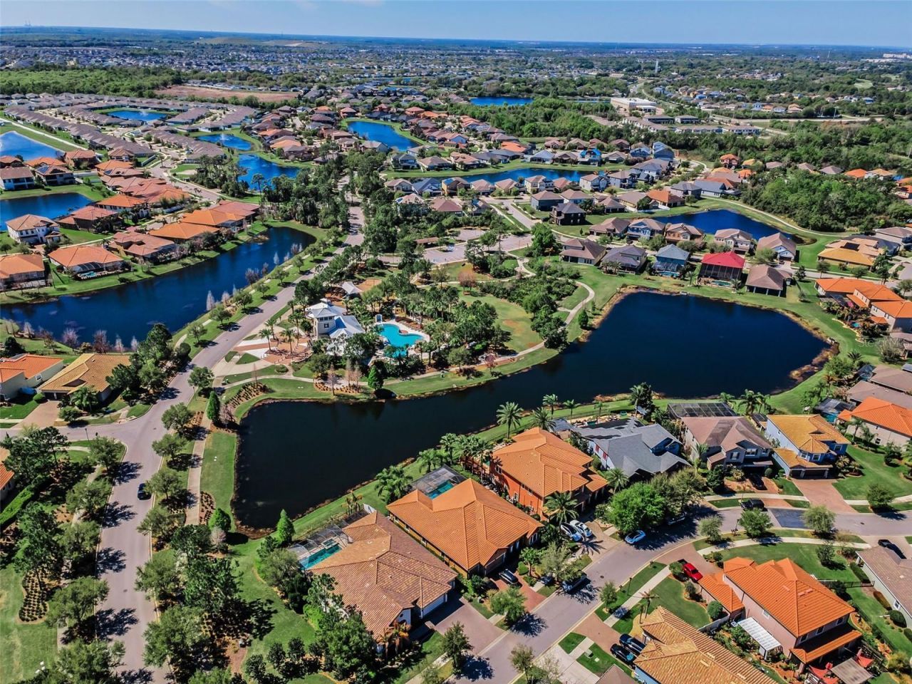 11891 Frost Aster Drive, Riverview, FL 33579 Photo