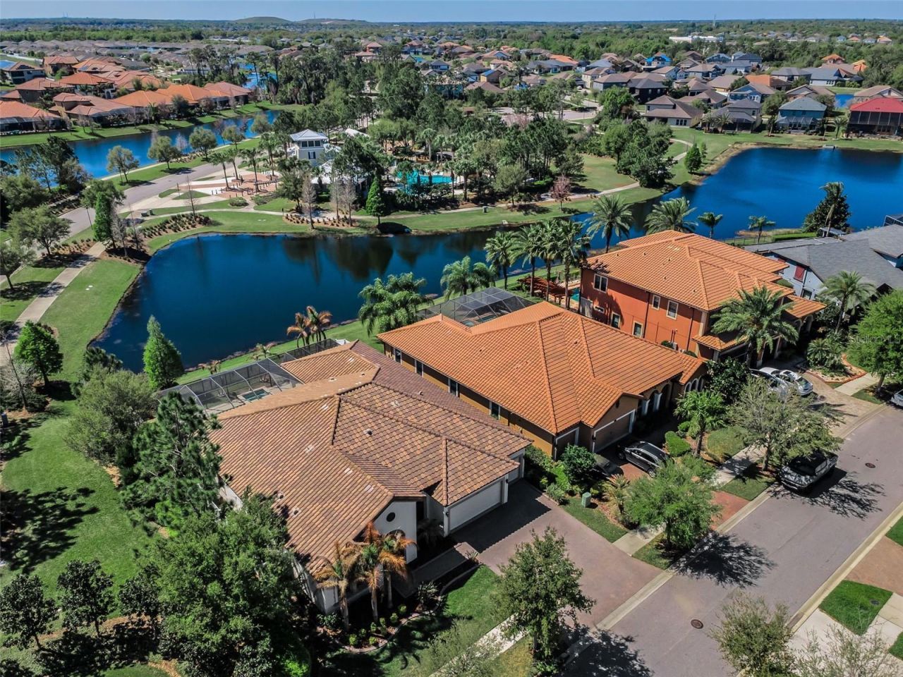 11891 Frost Aster Drive, Riverview, FL 33579 Photo