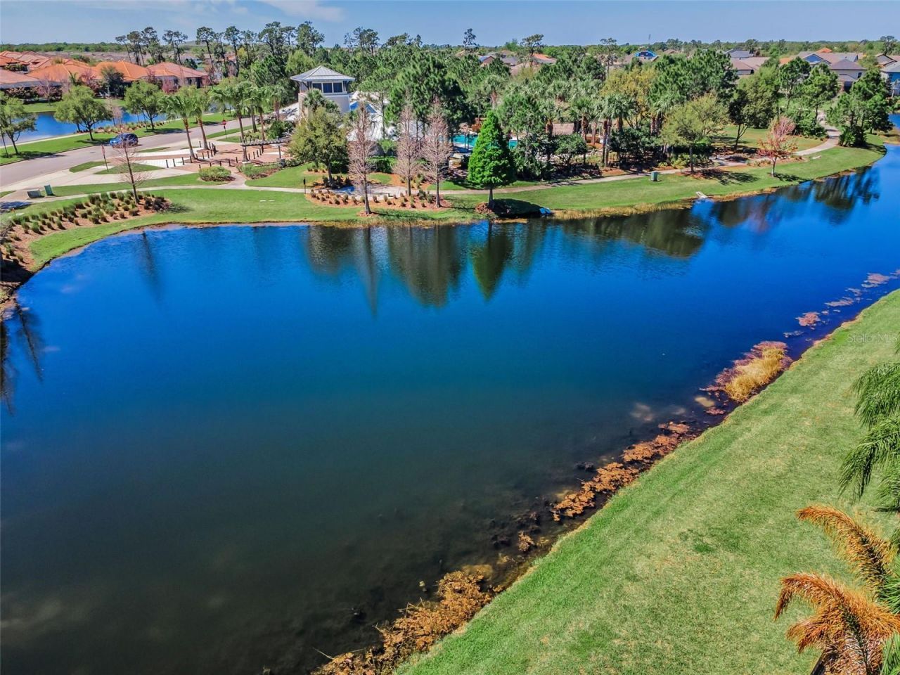 11891 Frost Aster Drive, Riverview, FL 33579 Photo