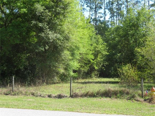 SAN ANTONIO, FL 33576