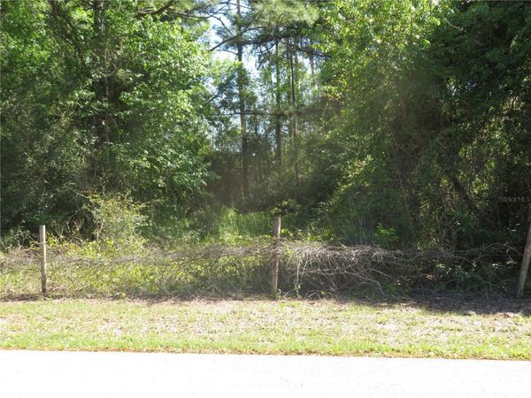 SAN ANTONIO, FL 33576