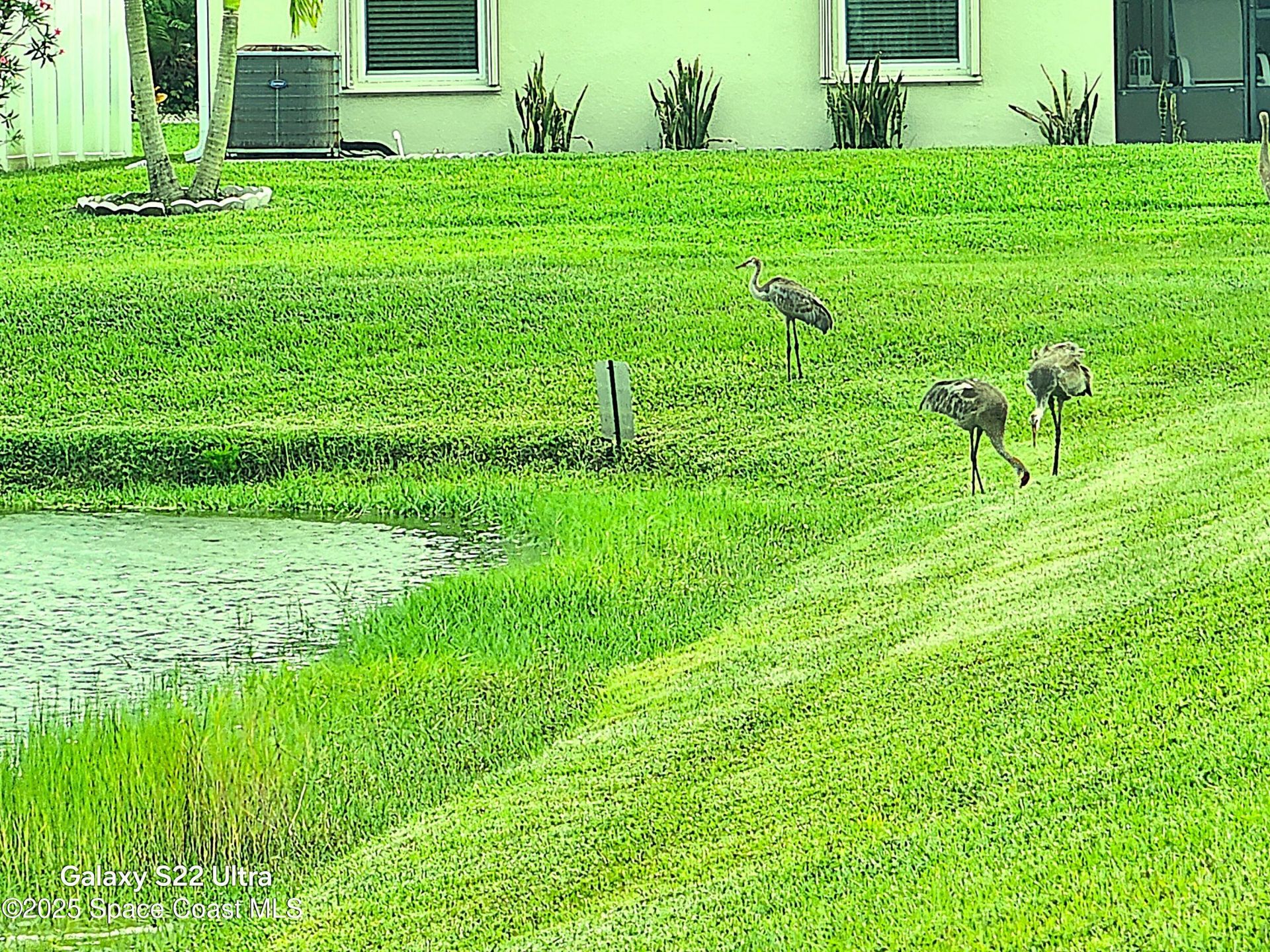 731 Corbin Circle Sw, Palm Bay, FL 32909 Photo