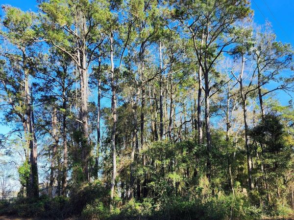 3872 Church Street SW, Shallotte, NC 28470