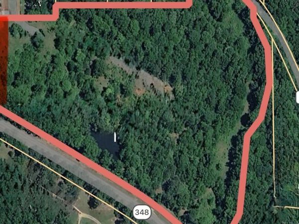 Highway 348, Blue Springs, MS 38828