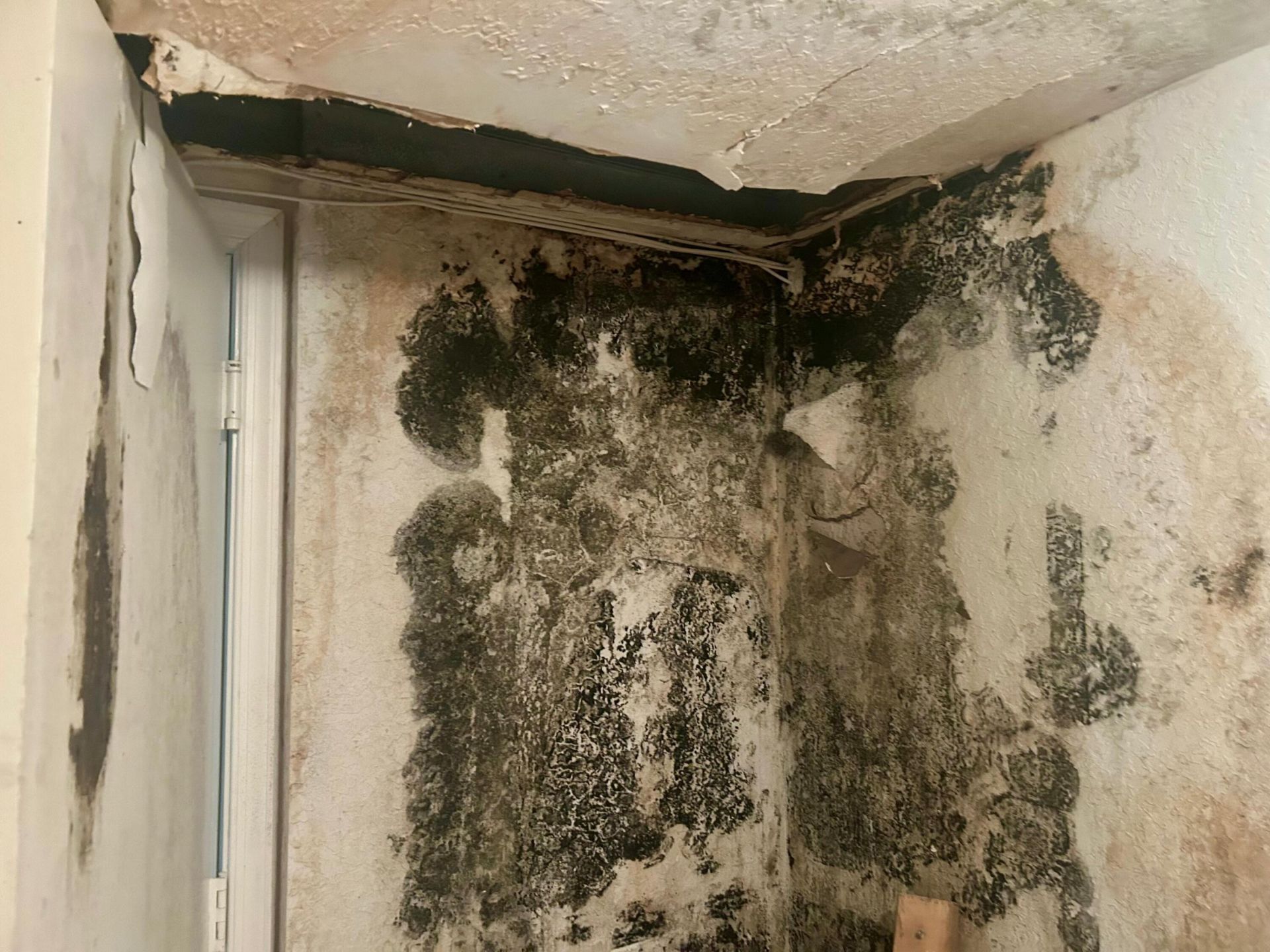 317 Berenger Walk, Royal Palm Beach, FL 33414 Photo