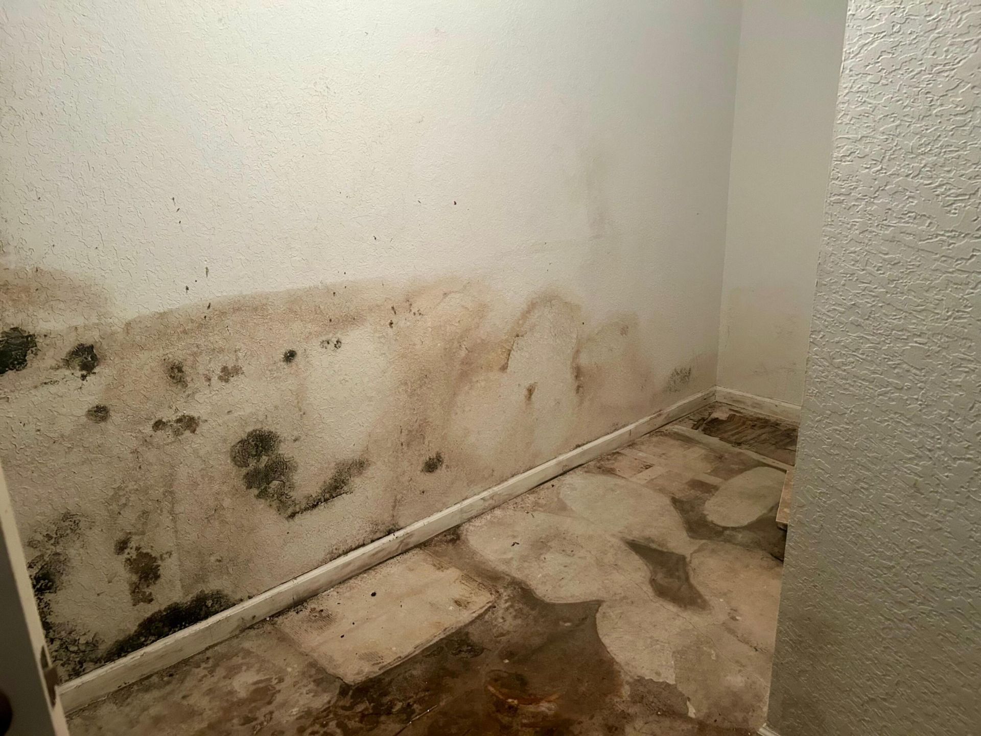 317 Berenger Walk, Royal Palm Beach, FL 33414 Photo