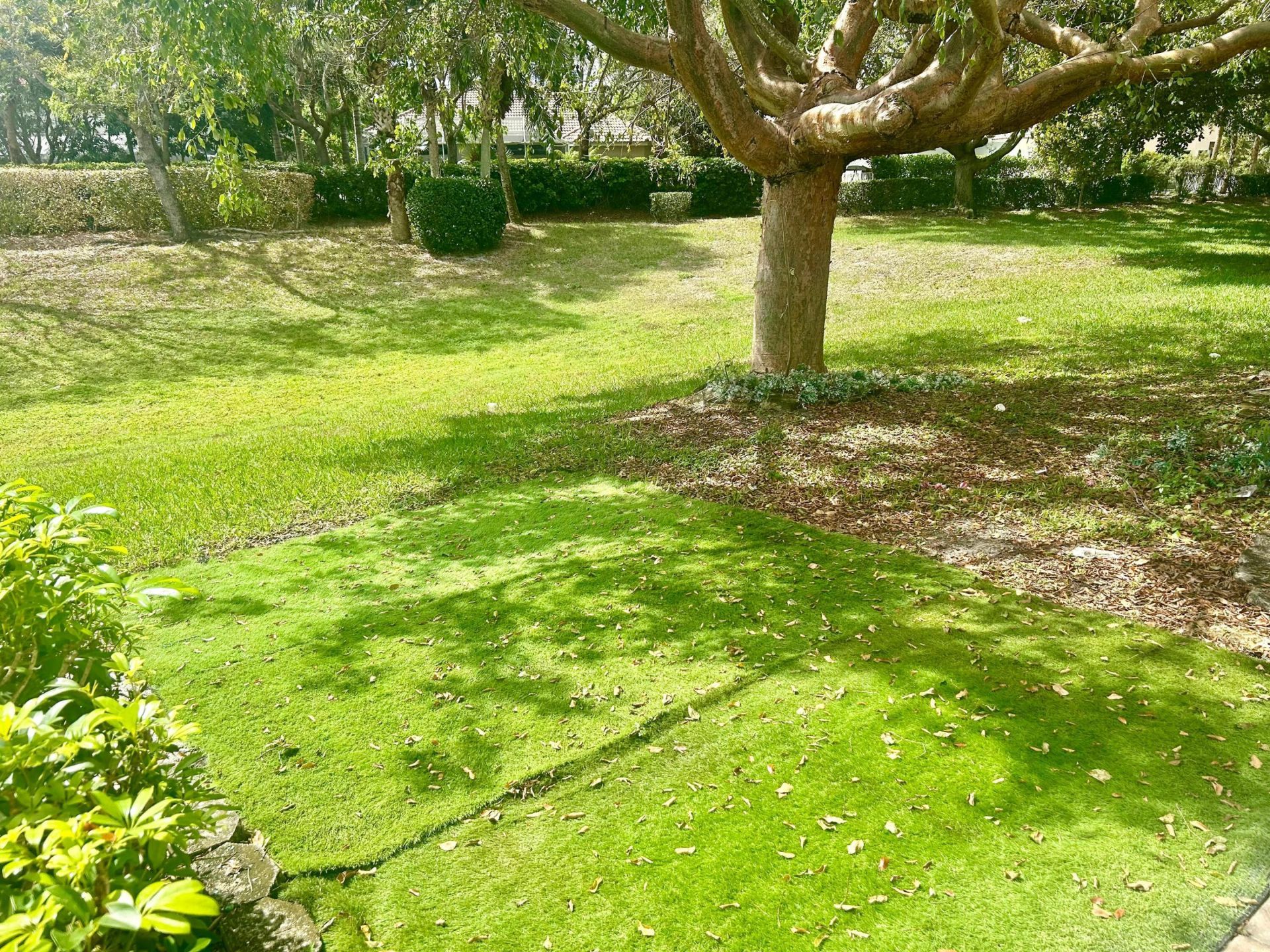 317 Berenger Walk, Royal Palm Beach, FL 33414 Photo