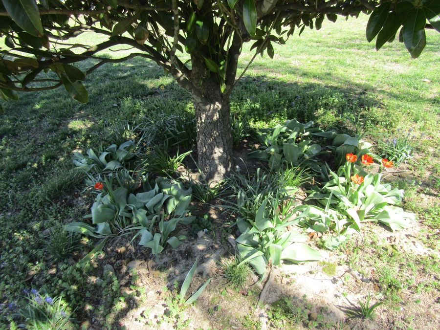 Property Image 58