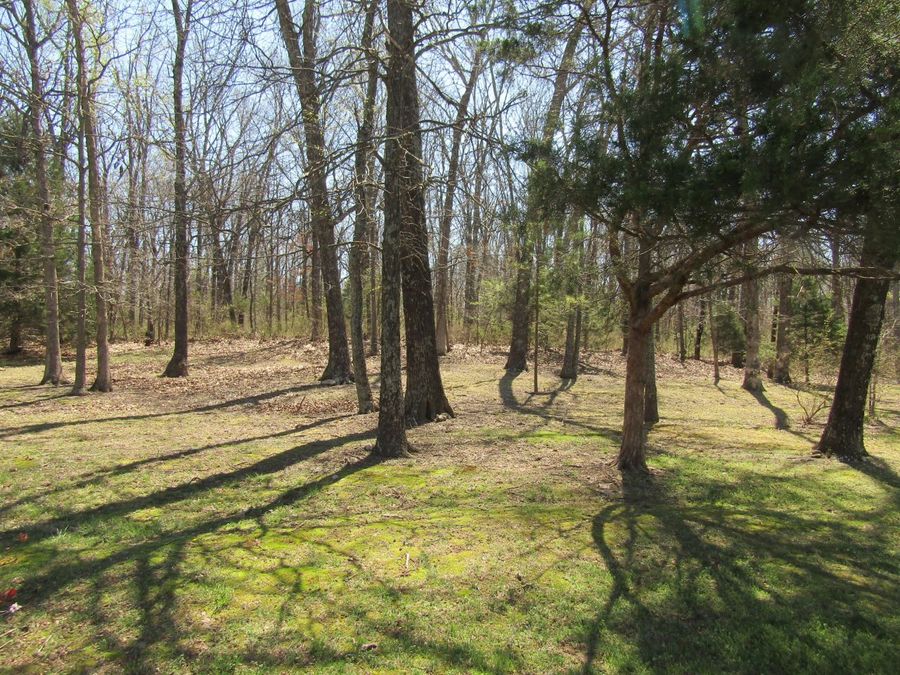 Property Image 61