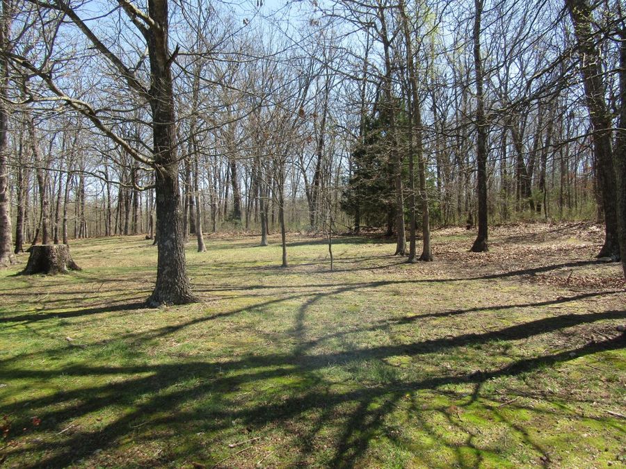 Property Image 62