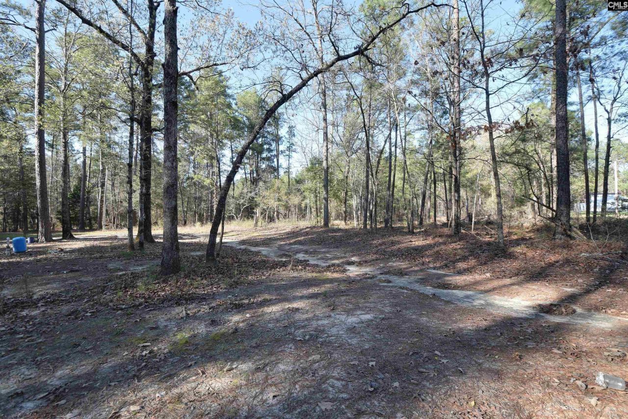 110 Kennerly Road Photo 19