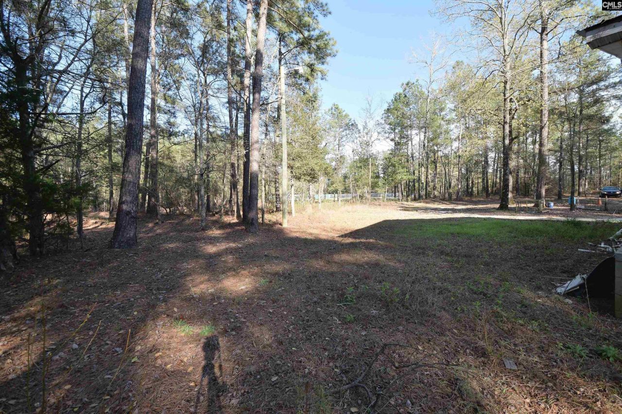 110 Kennerly Road Photo 23