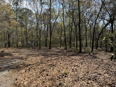 6321 Bears Bluff Road, Wadmalaw Island, SC 29487