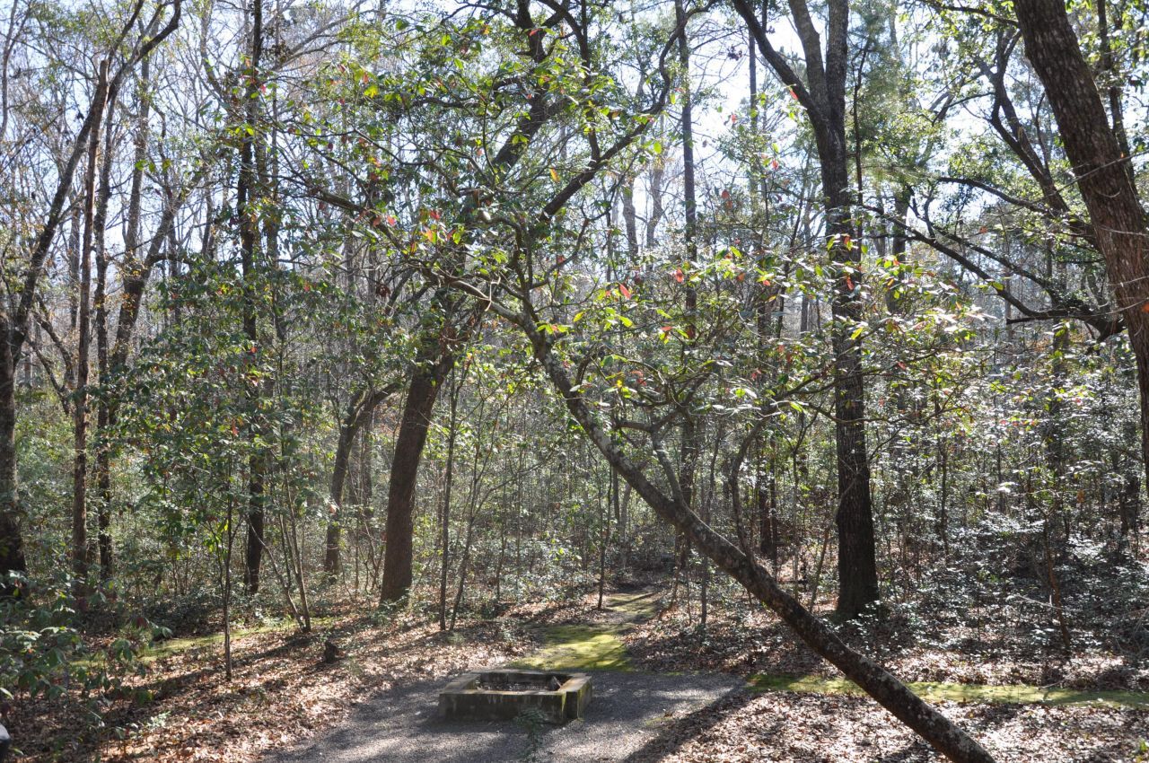 6321 Bears Bluff Road Photo 13