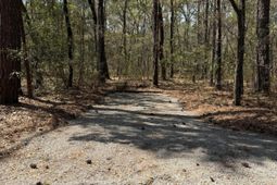 6321 Bears Bluff Road photo 4