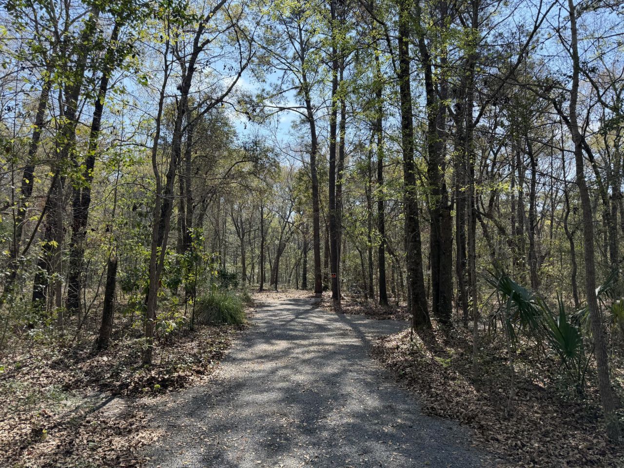 6321 Bears Bluff Road Photo 4