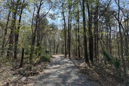 6321 Bears Bluff Road photo 4