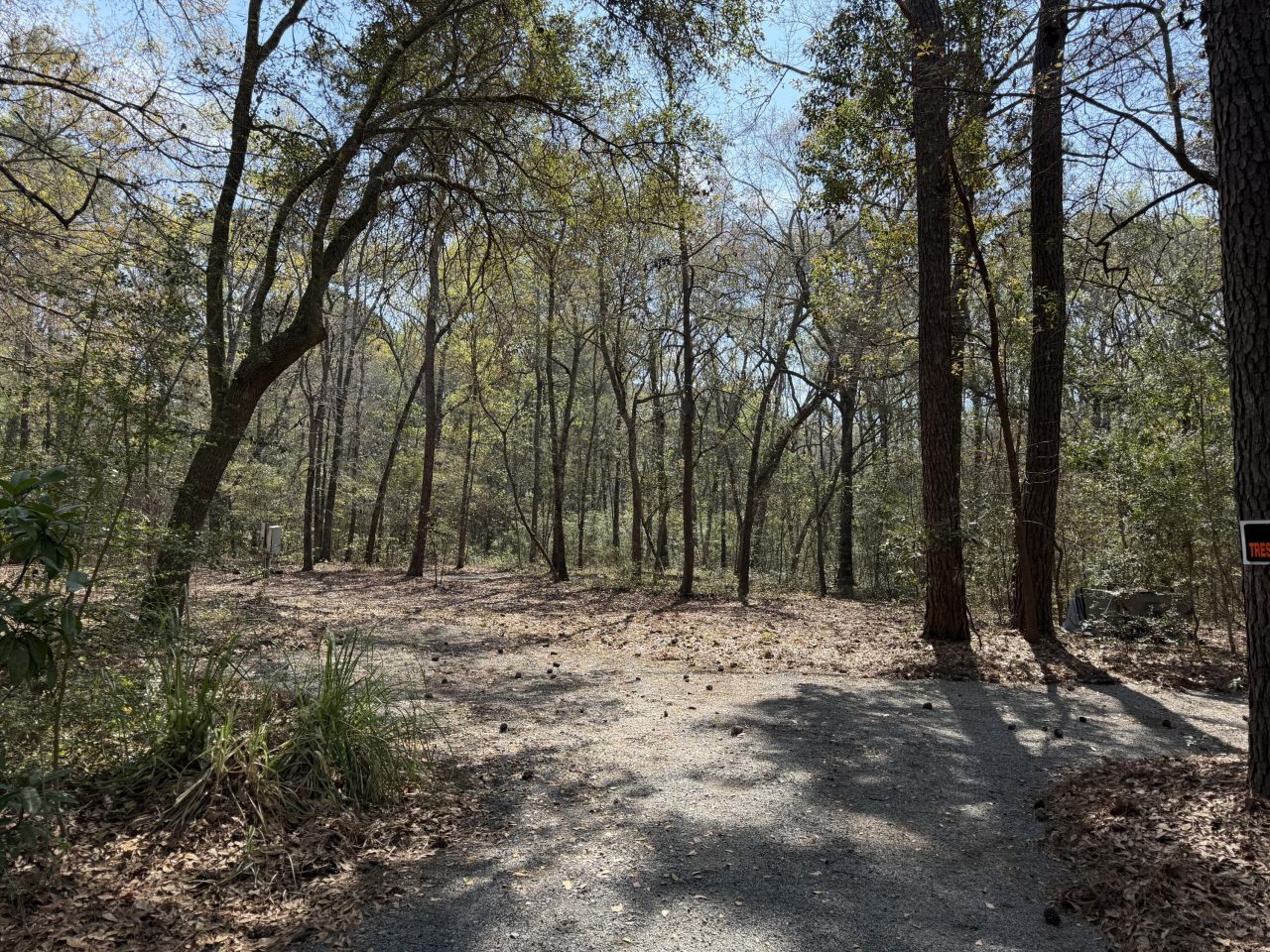 6321 Bears Bluff Road Photo 5