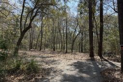 6321 Bears Bluff Road photo 4