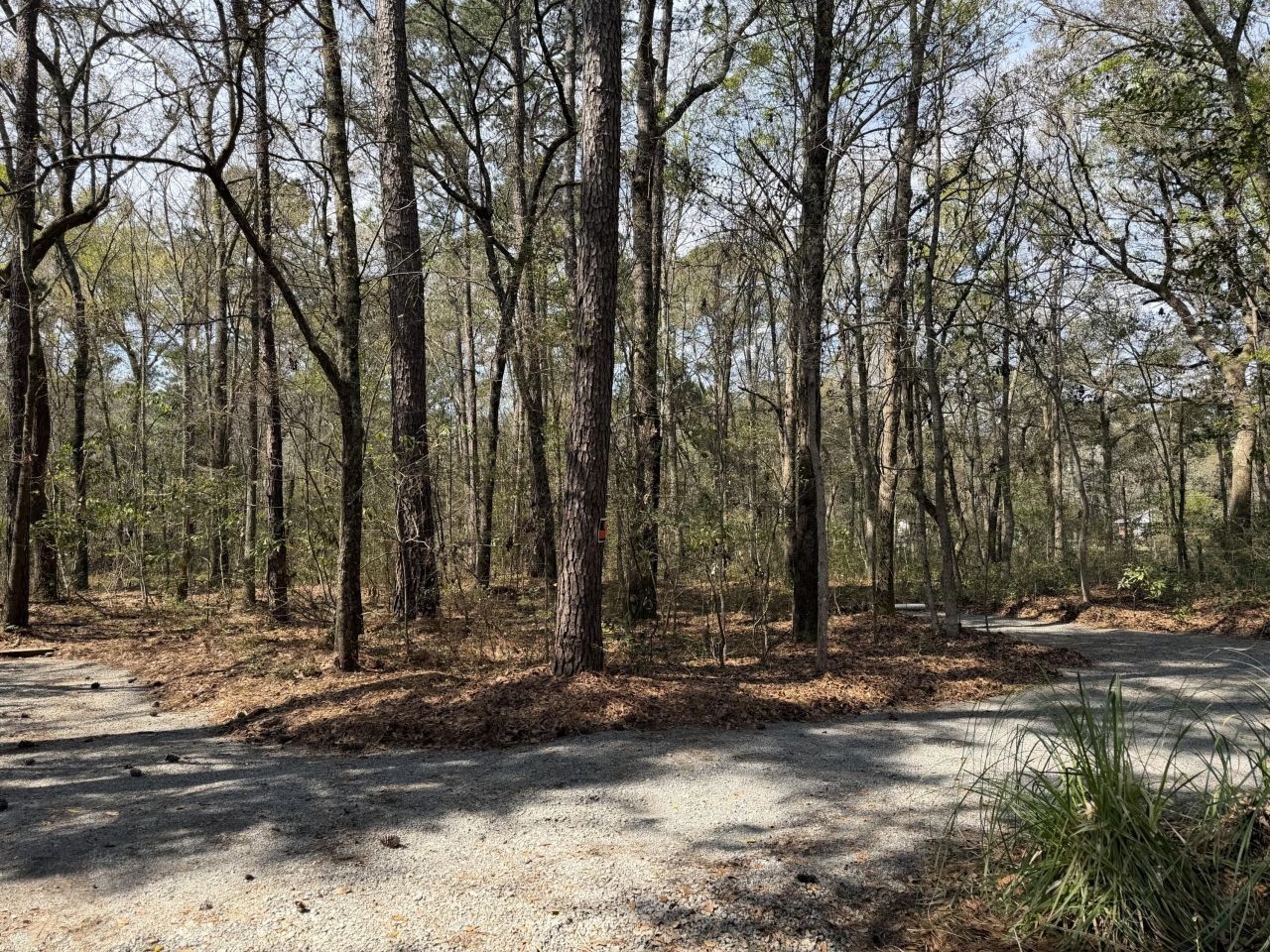 6321 Bears Bluff Road Photo 6