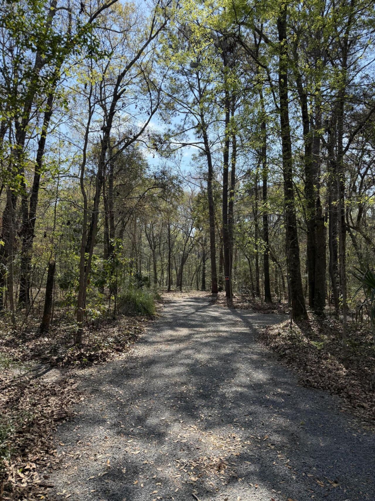 6321 Bears Bluff Road Photo 7