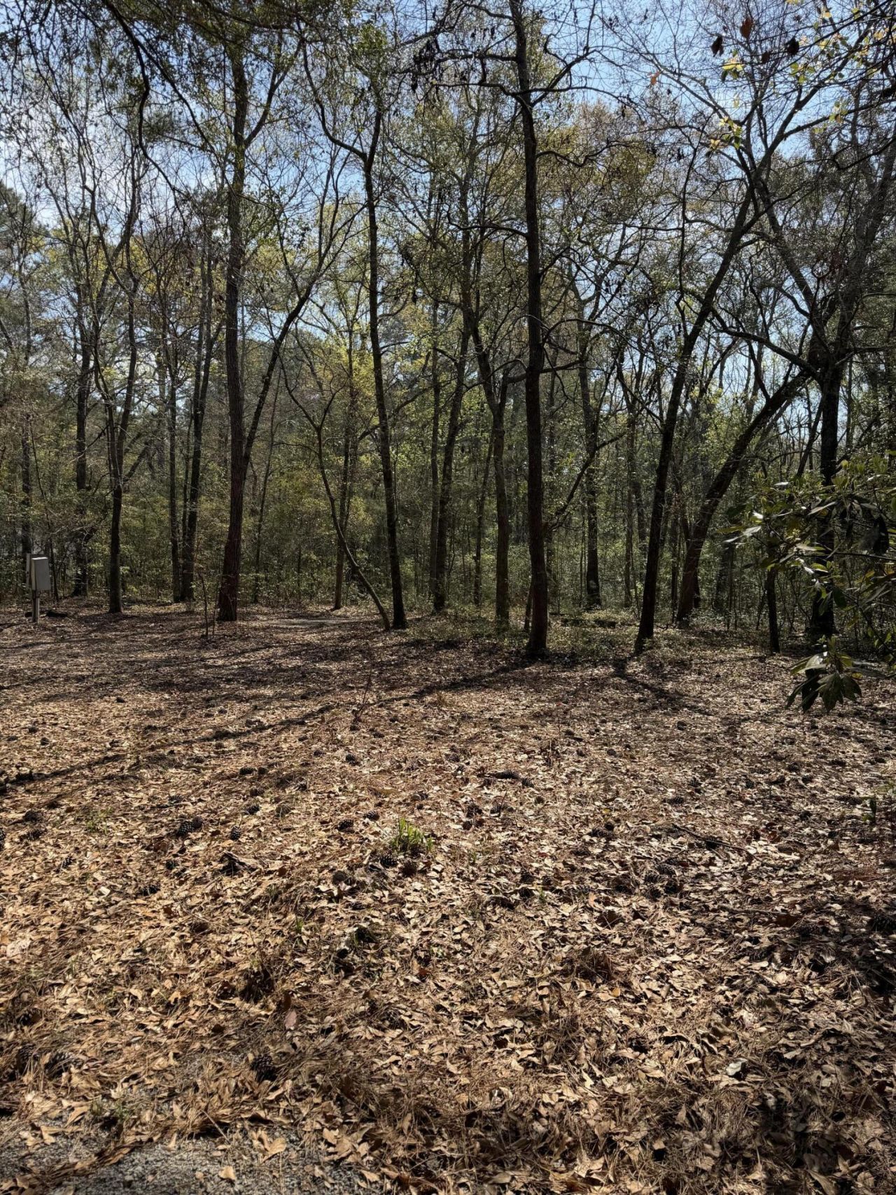 6321 Bears Bluff Road Photo 8