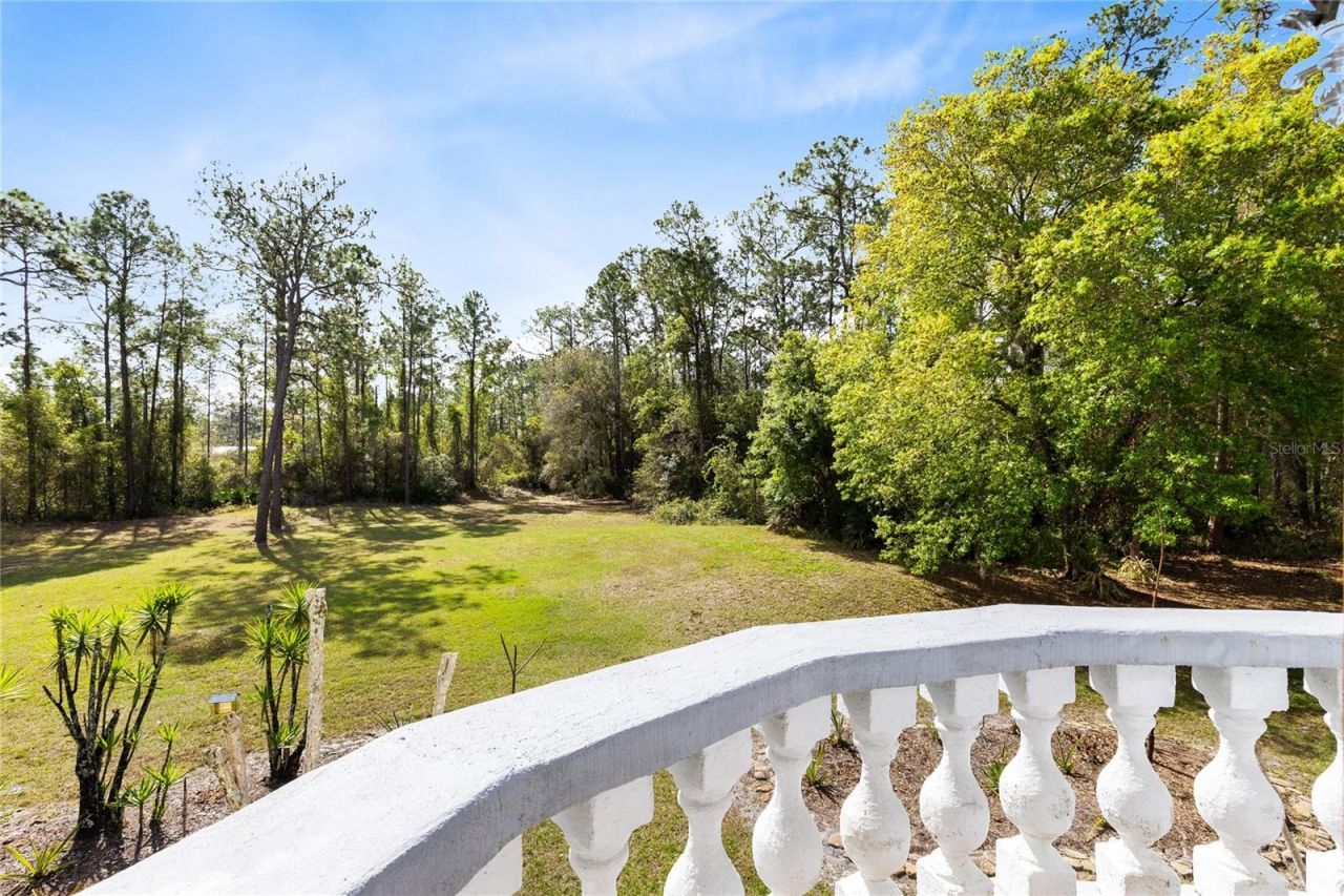 14502 Scotch Pine Court, Orlando, FL 32832 Photo