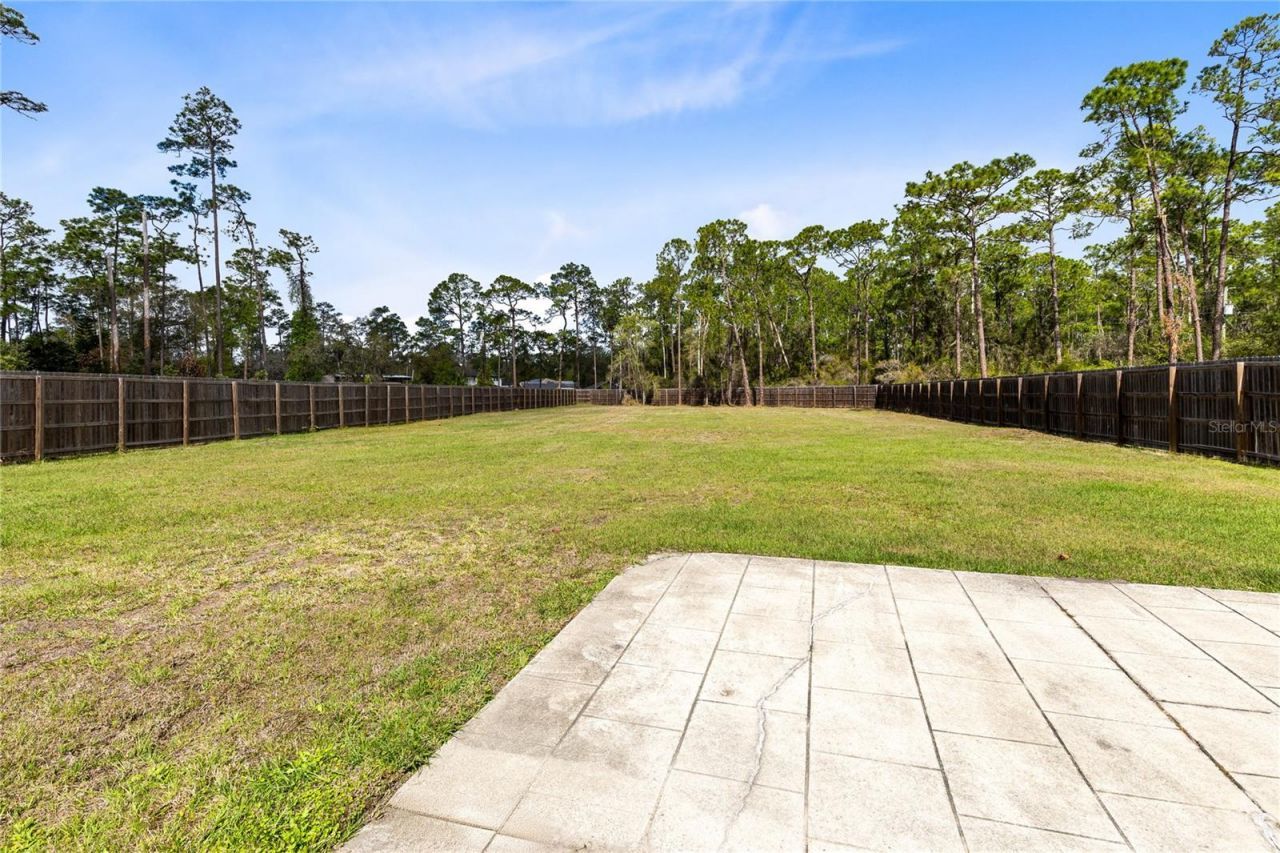 14502 Scotch Pine Court, Orlando, FL 32832 Photo