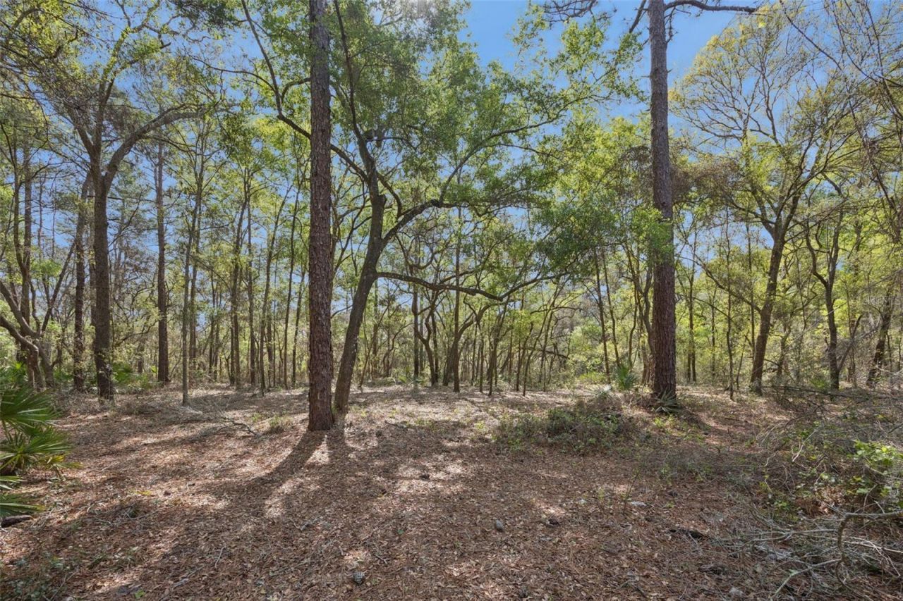 2130 Missoula Trail , Deltona, FL 32738 Photo