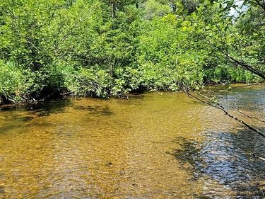 Palmer Place, Grayling, MI 49738