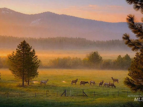 1217 Elo Road, McCall, ID 83638