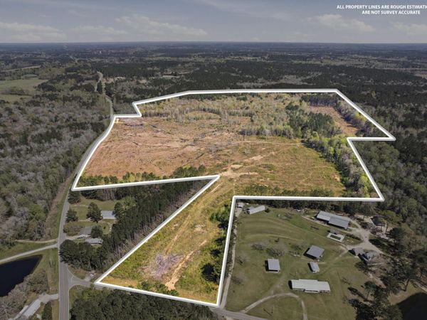 95.3 ac Rocky Branch, Sumrall, MS 39482