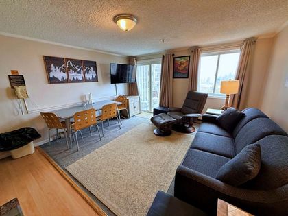 214 Mountain Lodge Snowshoe, WV 26209
