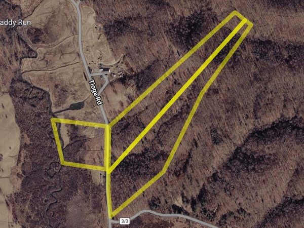 4042 Tioga Rd, Tioga, WV 26691