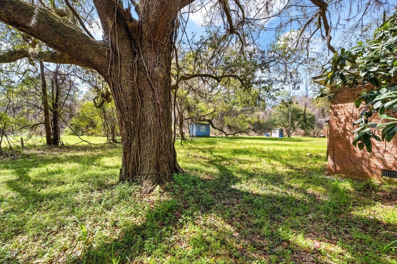 1946 River Road Photo 13