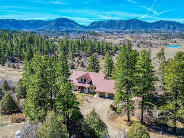457 E Arbol Park Drive, Pagosa Springs, CO 81147