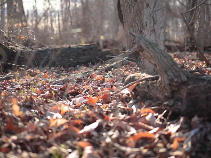 0 Cherry Lane NW, Baltimore, OH 43105 Photo 3