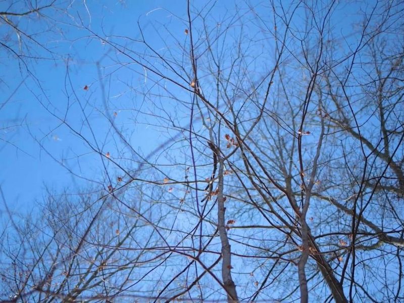 0 Cherry Lane NW, Baltimore, OH 43105 Photo 4