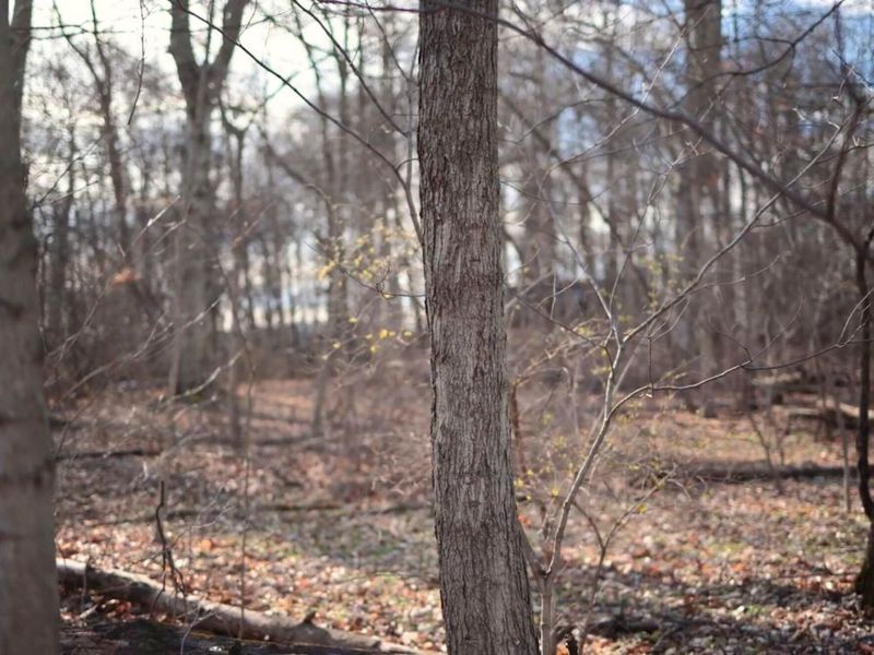 0 Cherry Lane NW, Baltimore, OH 43105 Photo 5