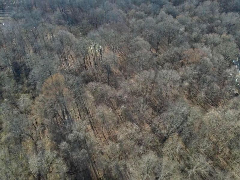 0 Cherry Lane NW, Baltimore, OH 43105 Photo 7