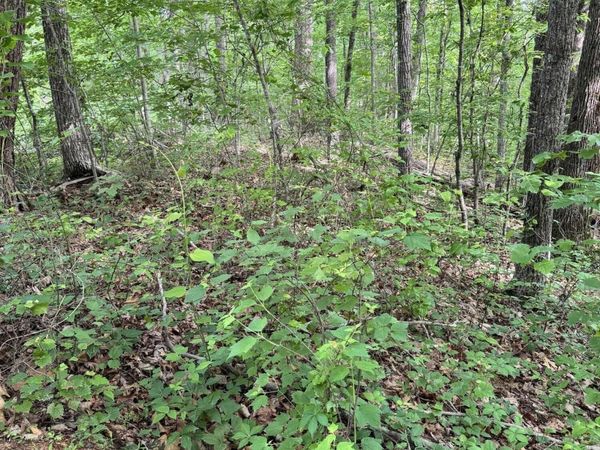 Prettiest Sunset Way, Seymour, TN 37865