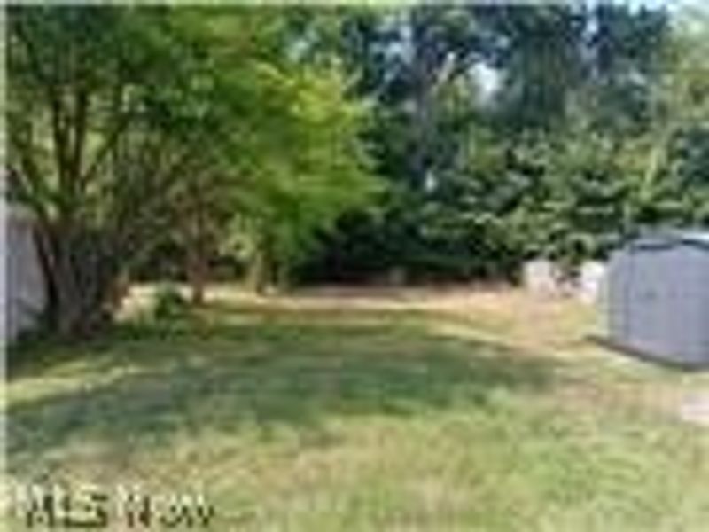 12002 Lena Avenue, Cleveland, OH 44135 Photo 14