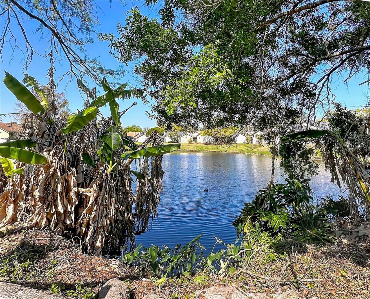 717 Adidas Road, Winter Springs, FL 32708 Photo